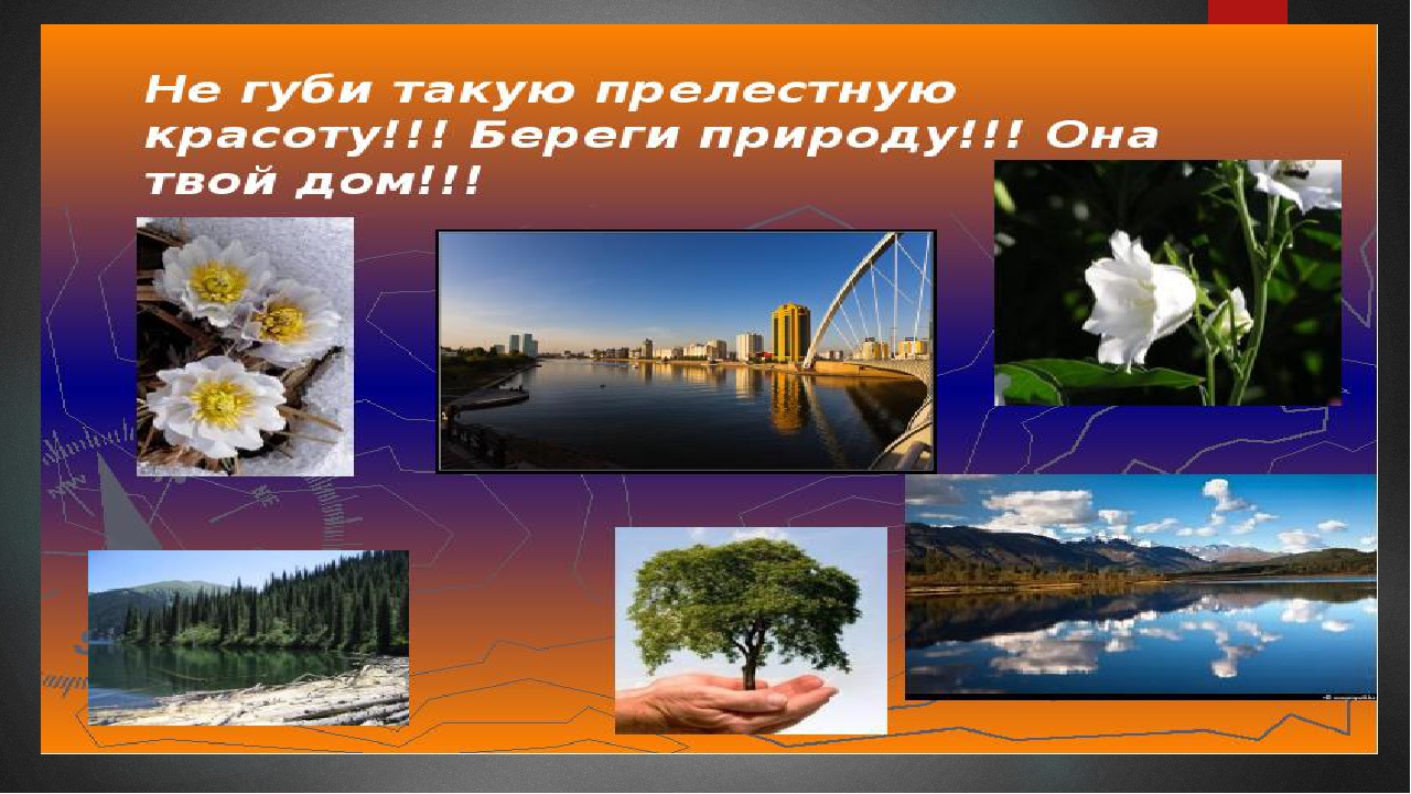 Презентация на экологическую тему: "Экология. Жизнь. Человек."