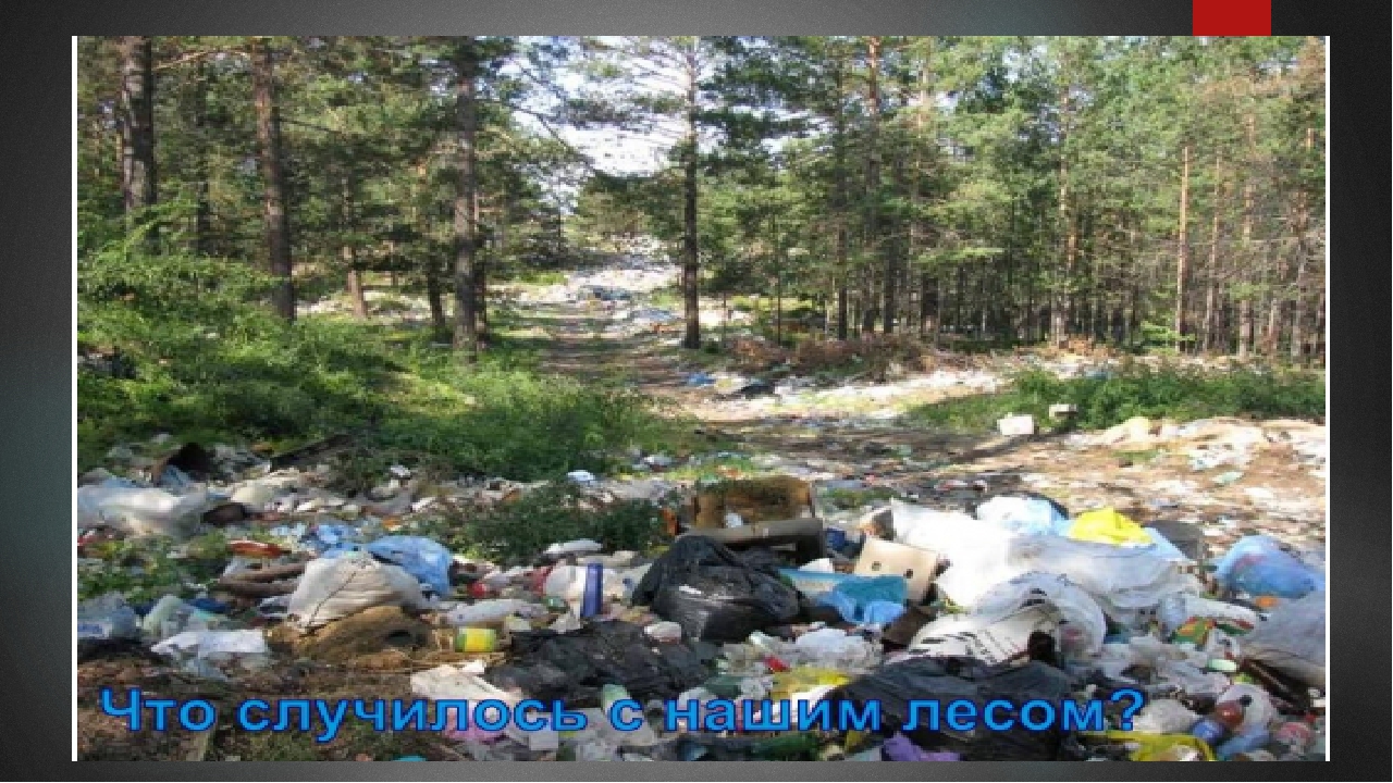 Презентация на экологическую тему: "Экология. Жизнь. Человек."