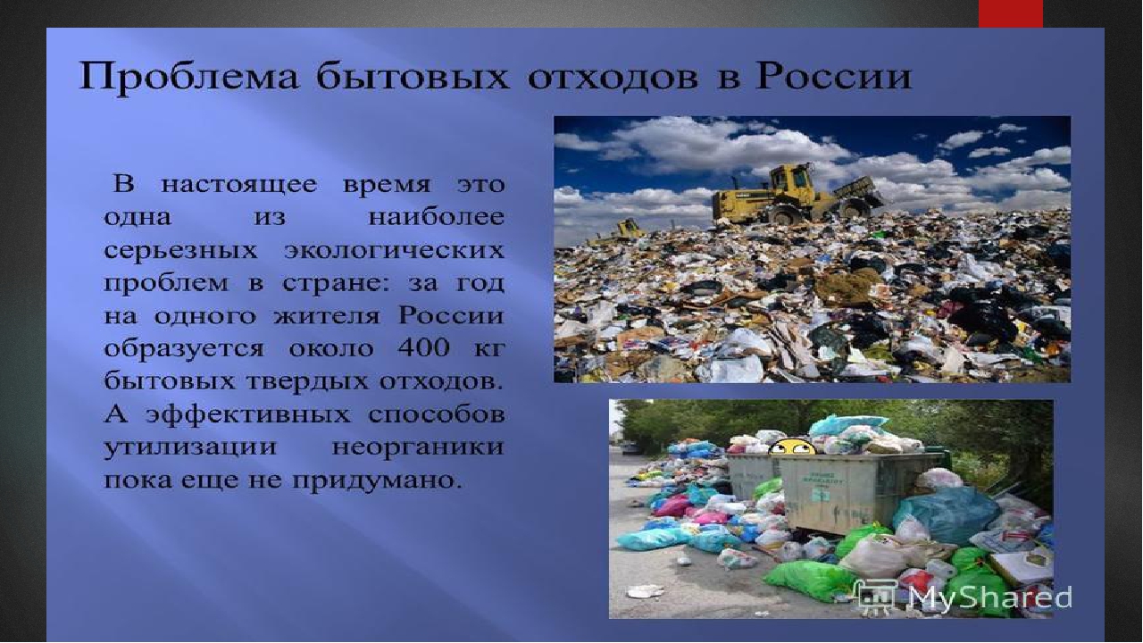 Презентация на экологическую тему: "Экология. Жизнь. Человек."