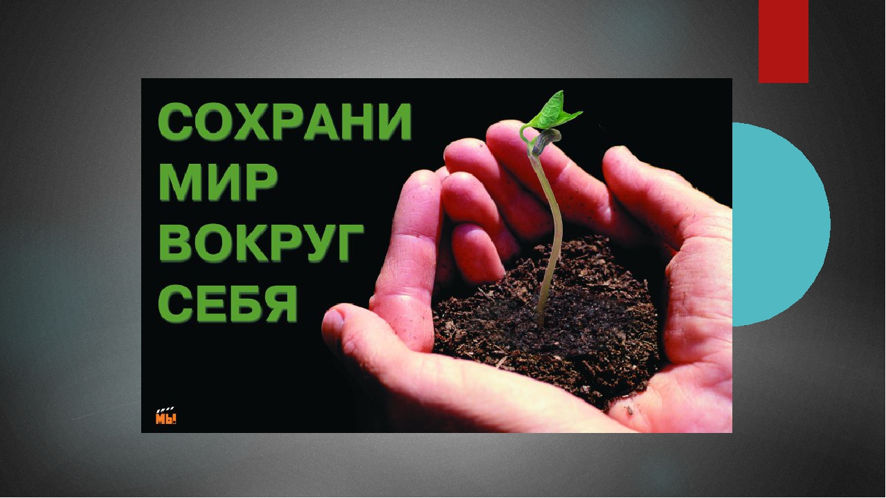 Презентация на экологическую тему: "Экология. Жизнь. Человек."