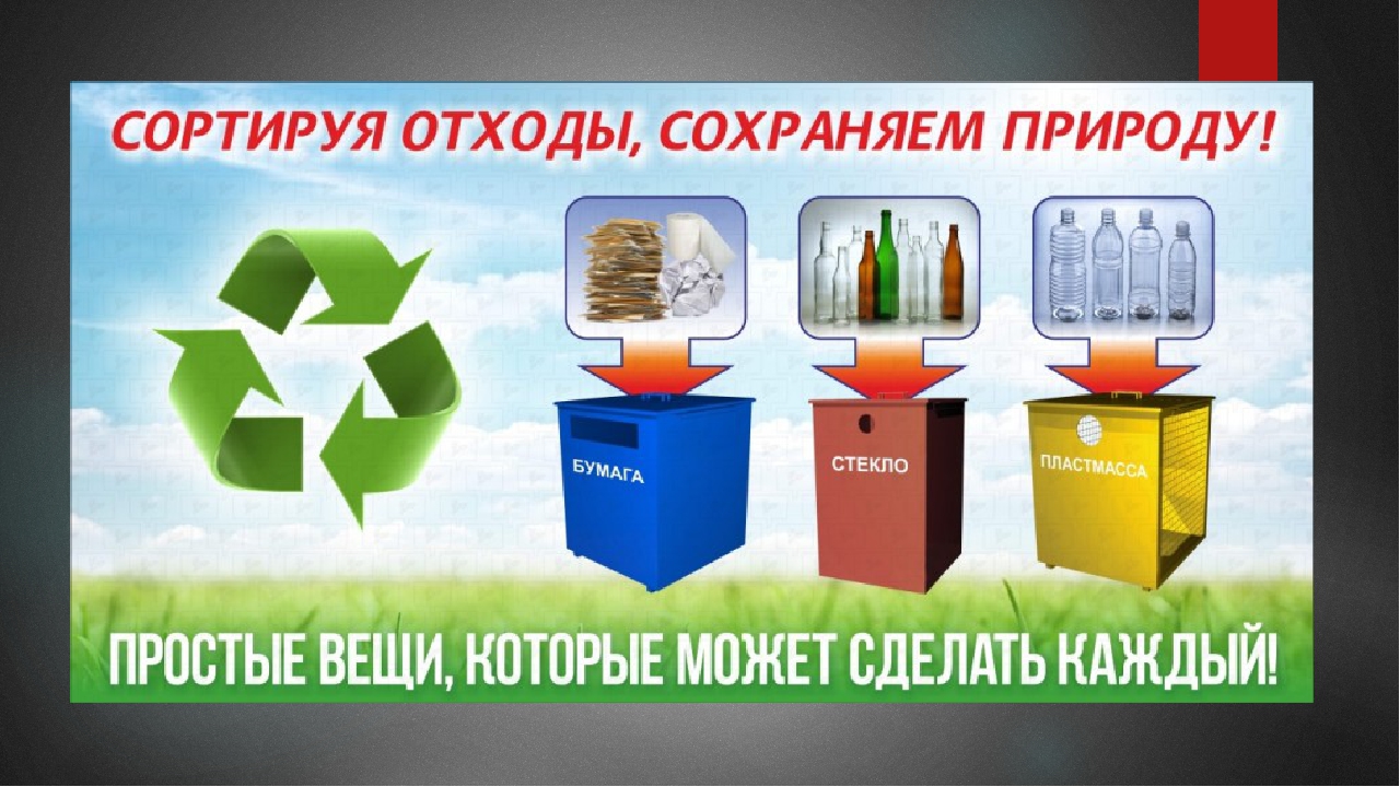 Презентация на экологическую тему: "Экология. Жизнь. Человек."