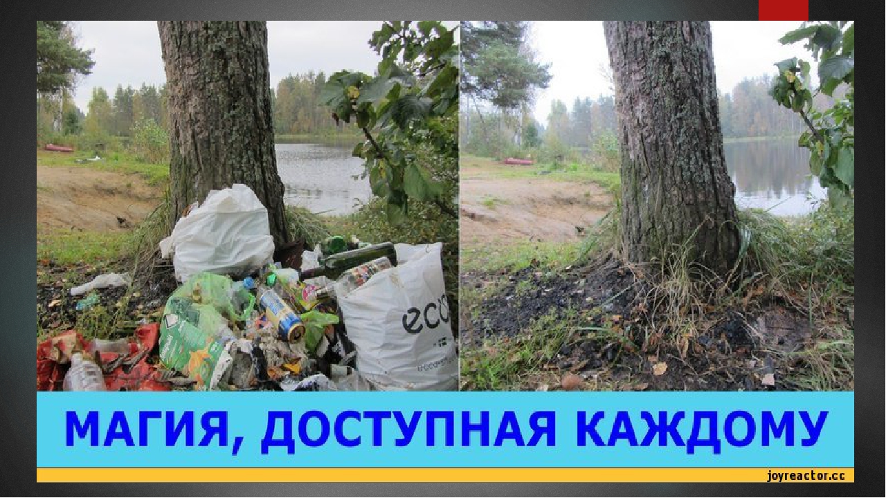Презентация на экологическую тему: "Экология. Жизнь. Человек."