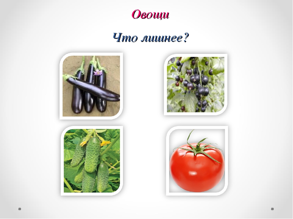 Презентация Дидактическая игра "Четвертый лишний"