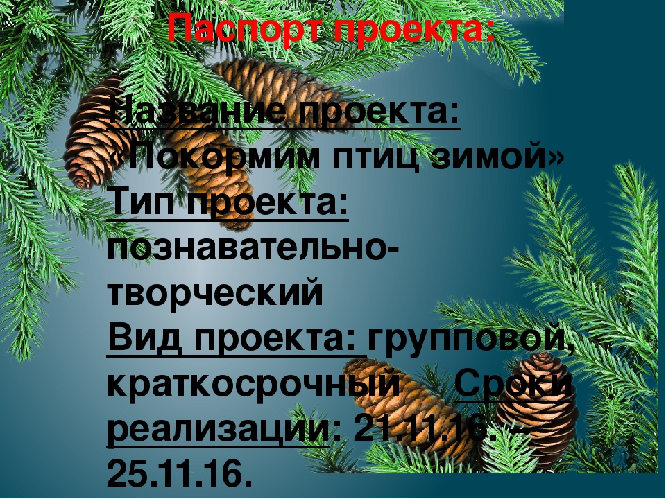 Презенация экологического проекта в младшей группе "Покормим птиц зимой"