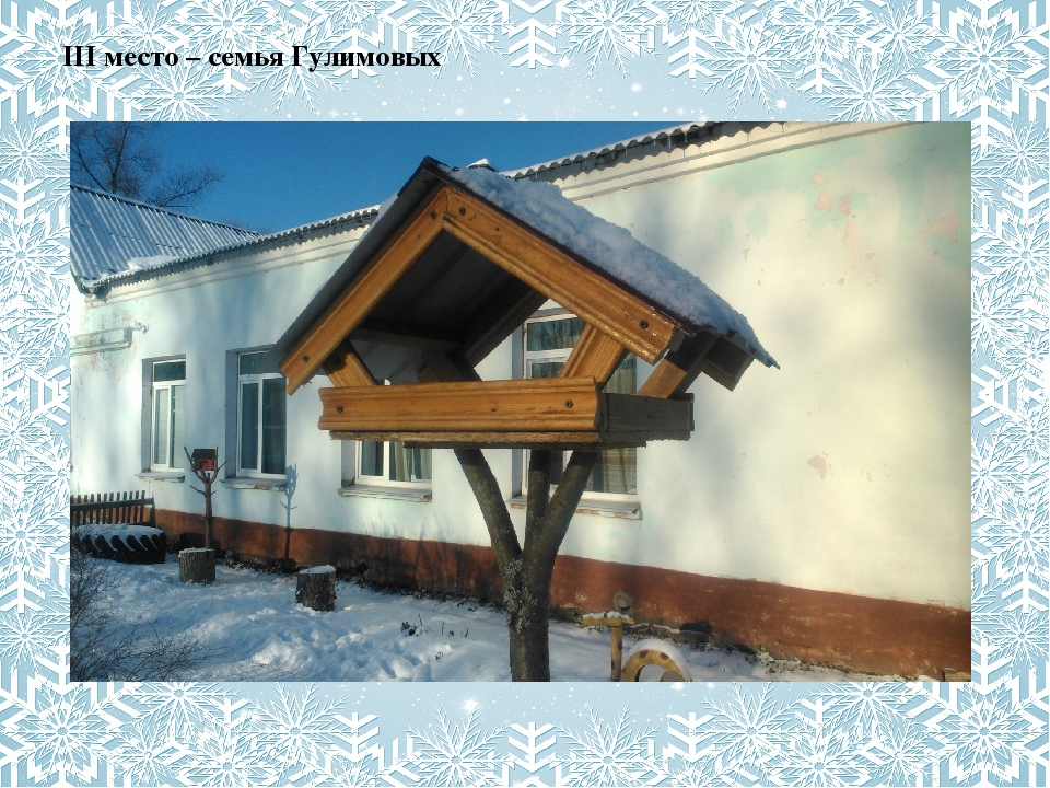 Презенация экологического проекта в младшей группе "Покормим птиц зимой"