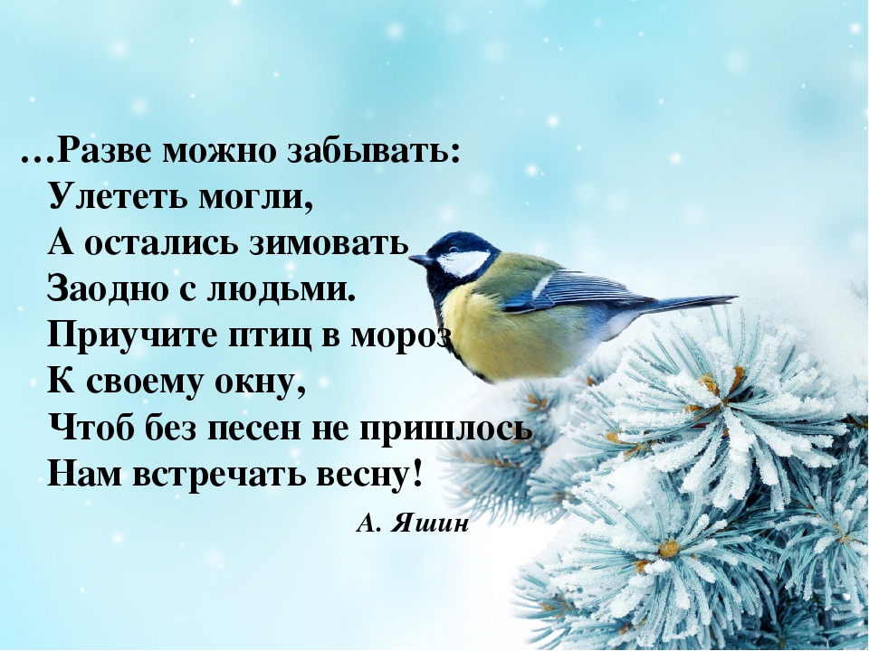 Презенация экологического проекта в младшей группе "Покормим птиц зимой"