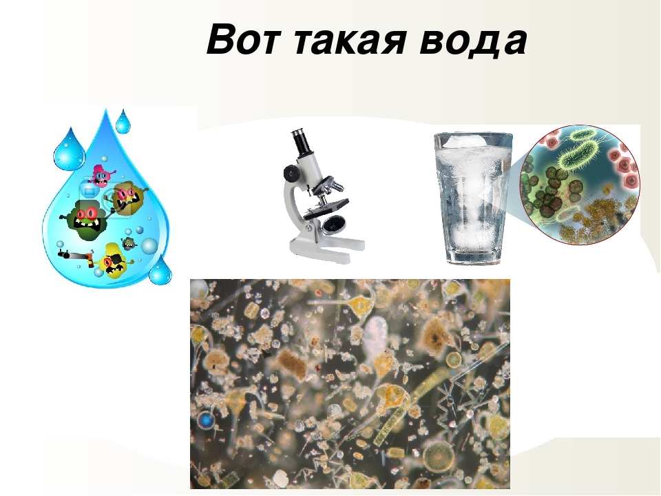 ООД Виртуальная экскурсия "Чистая вода" подготовительная группа
