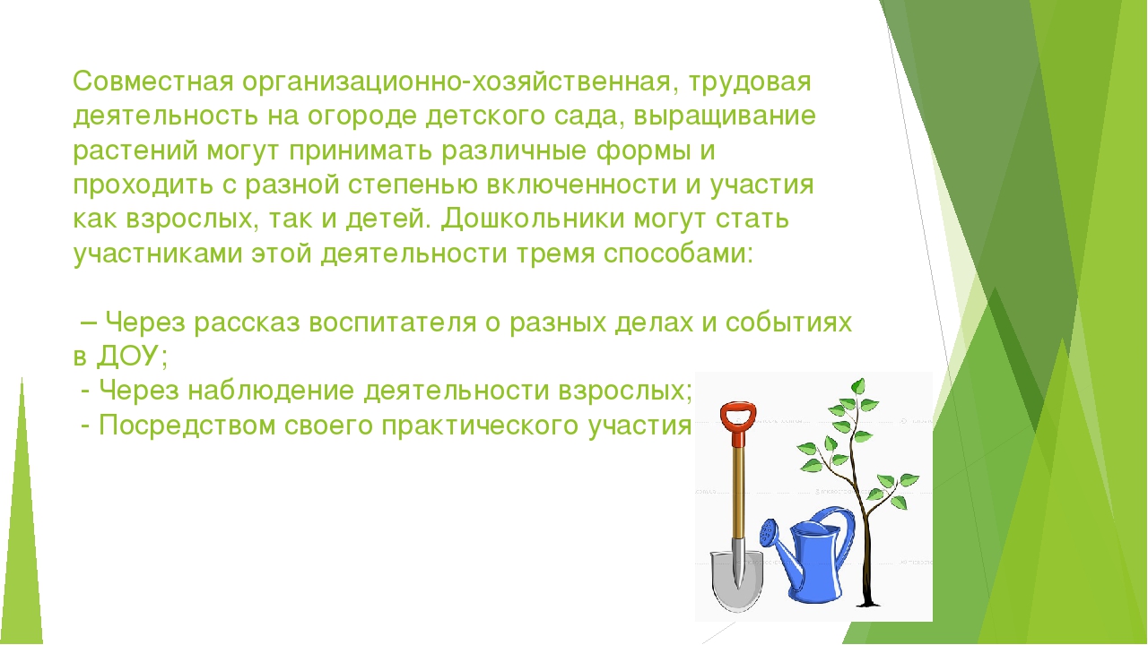 Презентация по экологическому воспитанию дошкольников.