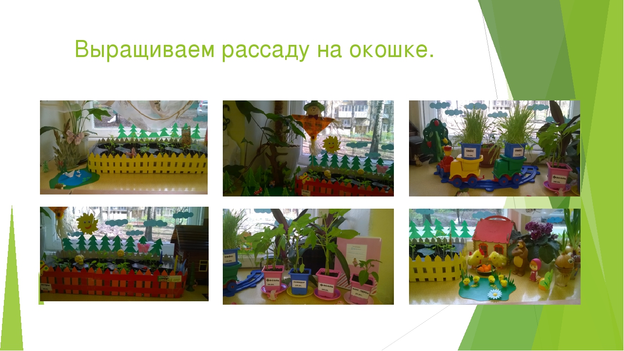 Презентация по экологическому воспитанию дошкольников.