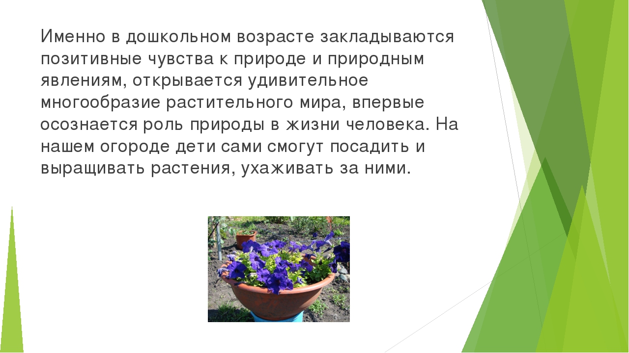 Презентация по экологическому воспитанию дошкольников.