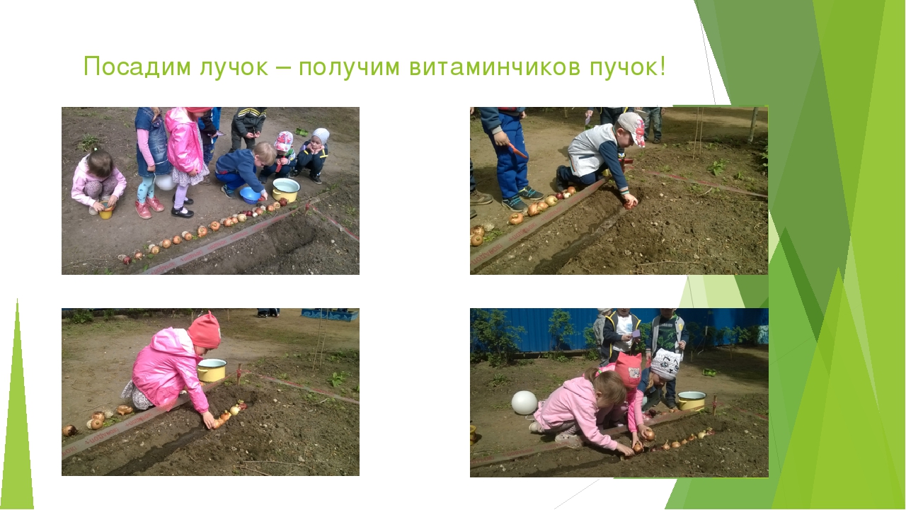 Презентация по экологическому воспитанию дошкольников.