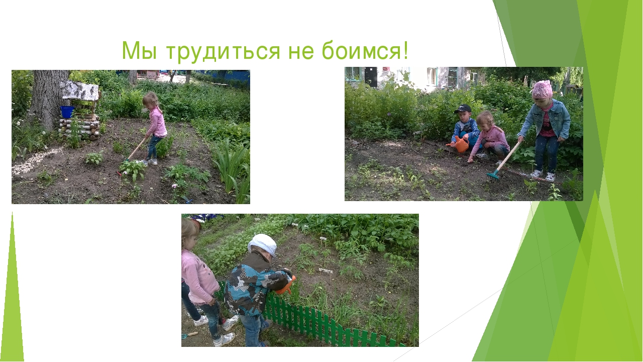 Презентация по экологическому воспитанию дошкольников.