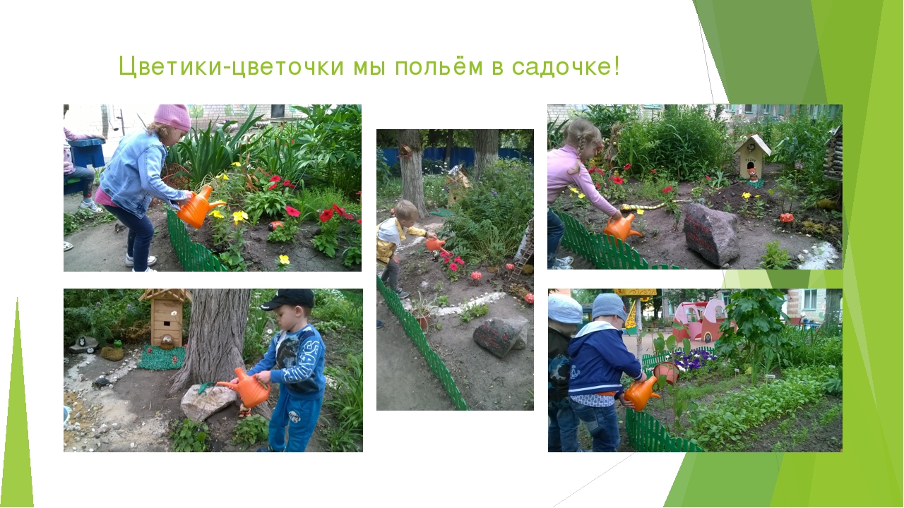 Презентация по экологическому воспитанию дошкольников.