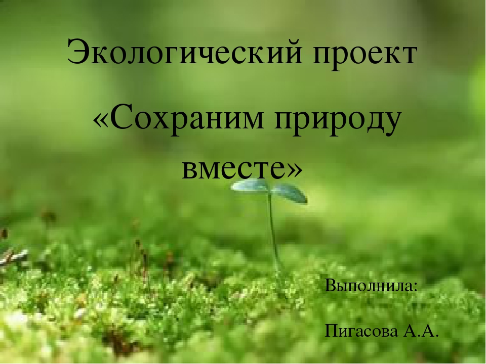 Экологический проект "Сохраним природу вместе"