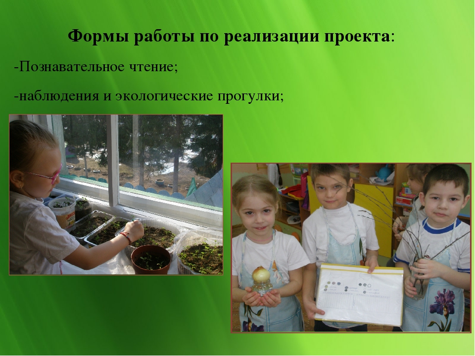Экологический проект "Сохраним природу вместе"