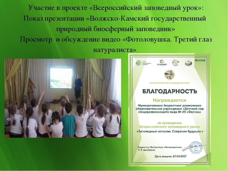 Экологический проект "Сохраним природу вместе"