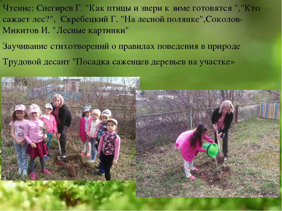 Экологический проект "Сохраним природу вместе"