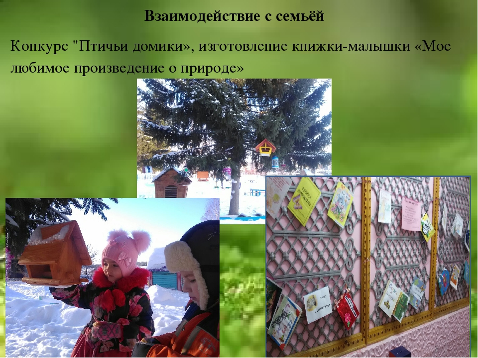 Экологический проект "Сохраним природу вместе"