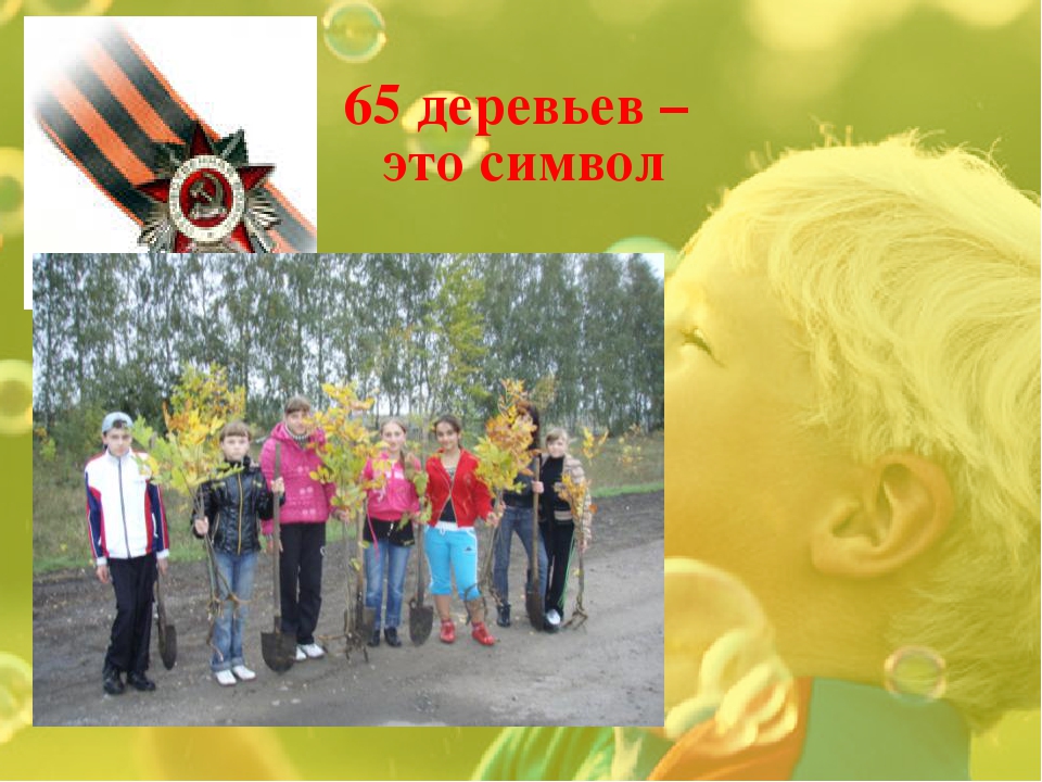 "Посади дерево Победы" Презентация
