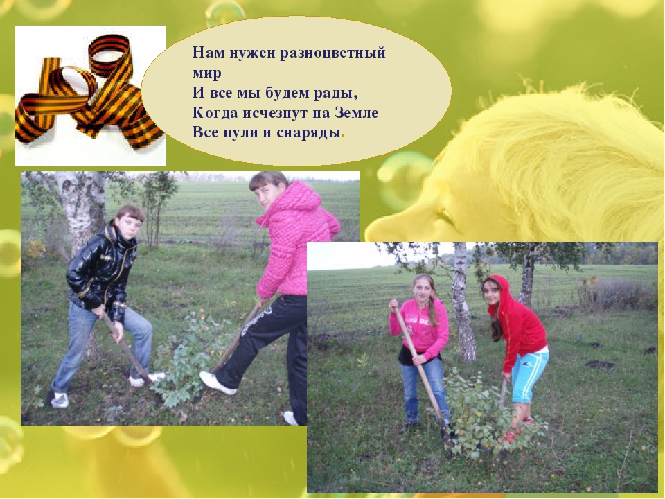 "Посади дерево Победы" Презентация