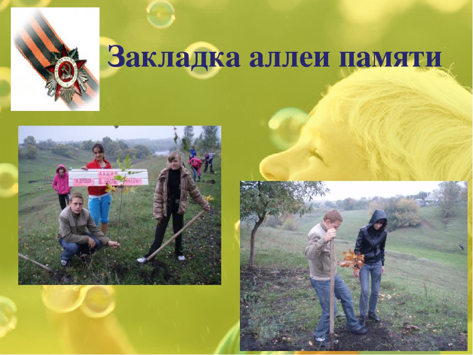 "Посади дерево Победы" Презентация