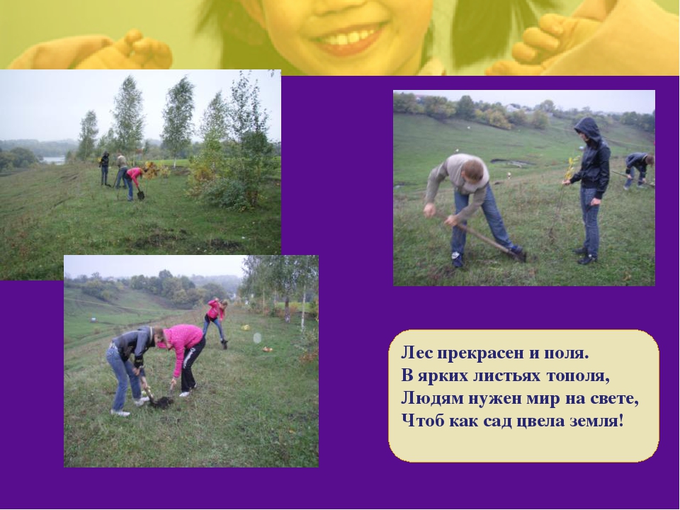 "Посади дерево Победы" Презентация