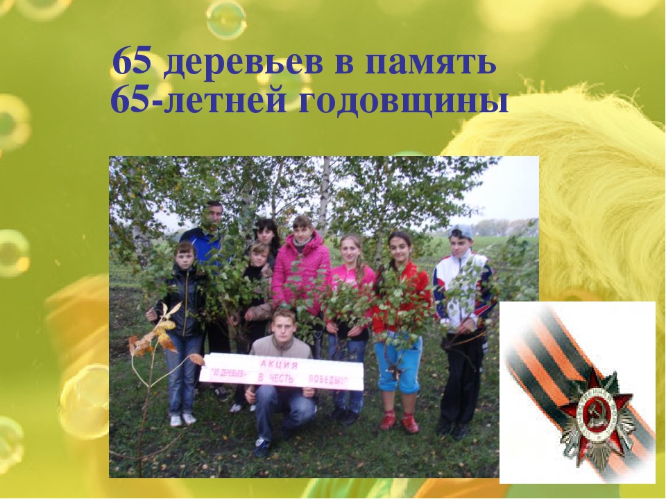 "Посади дерево Победы" Презентация