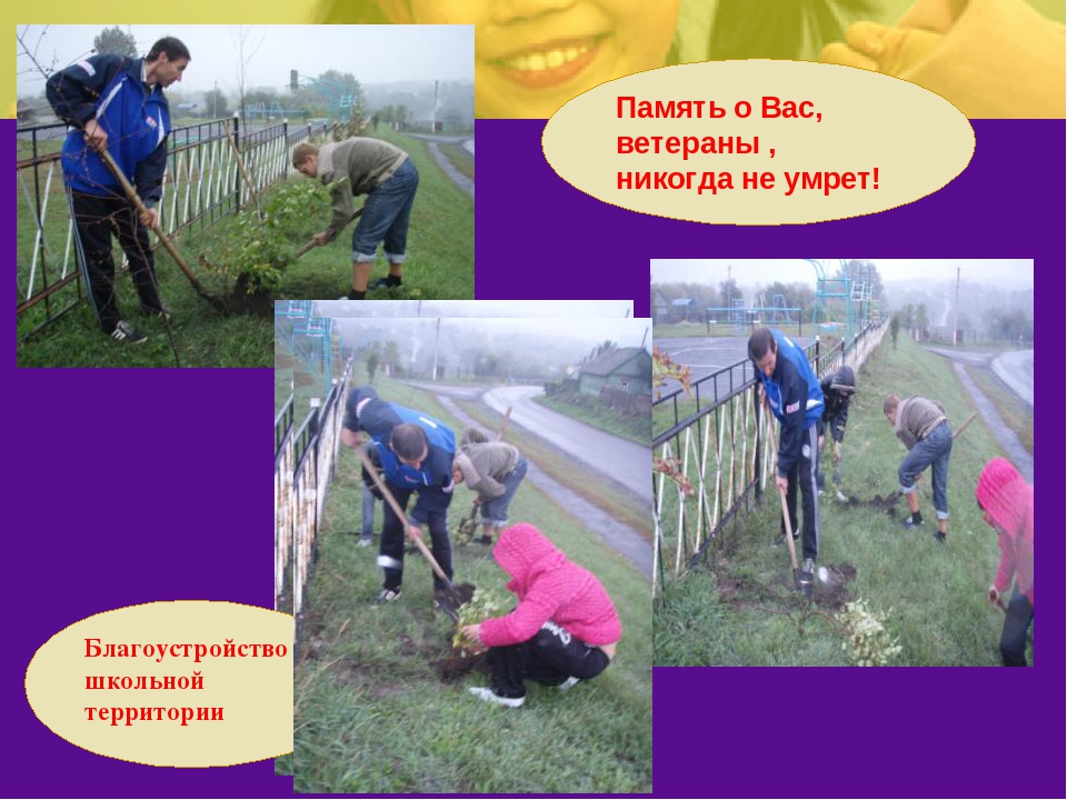 "Посади дерево Победы" Презентация