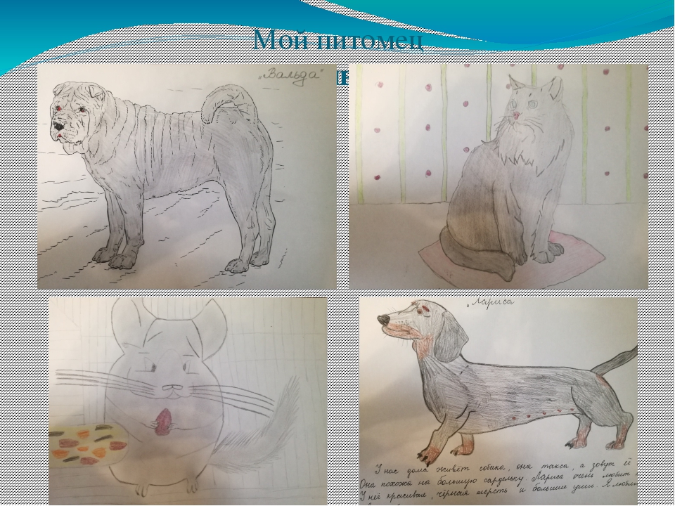 Отчёт по проекту. Презентация "Мой дом - моя семья".