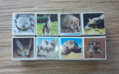 Picture 3