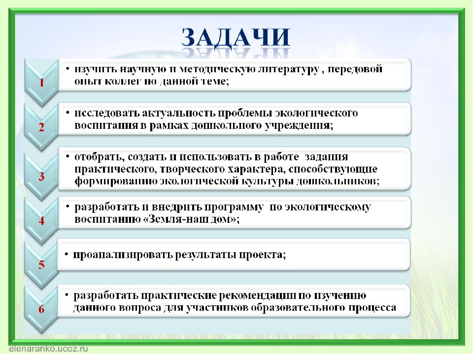Формирование экологической культуры дошкольников через активное исследование и игровые формы