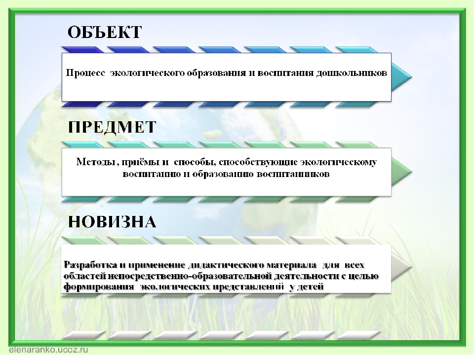 Формирование экологической культуры дошкольников через активное исследование и игровые формы