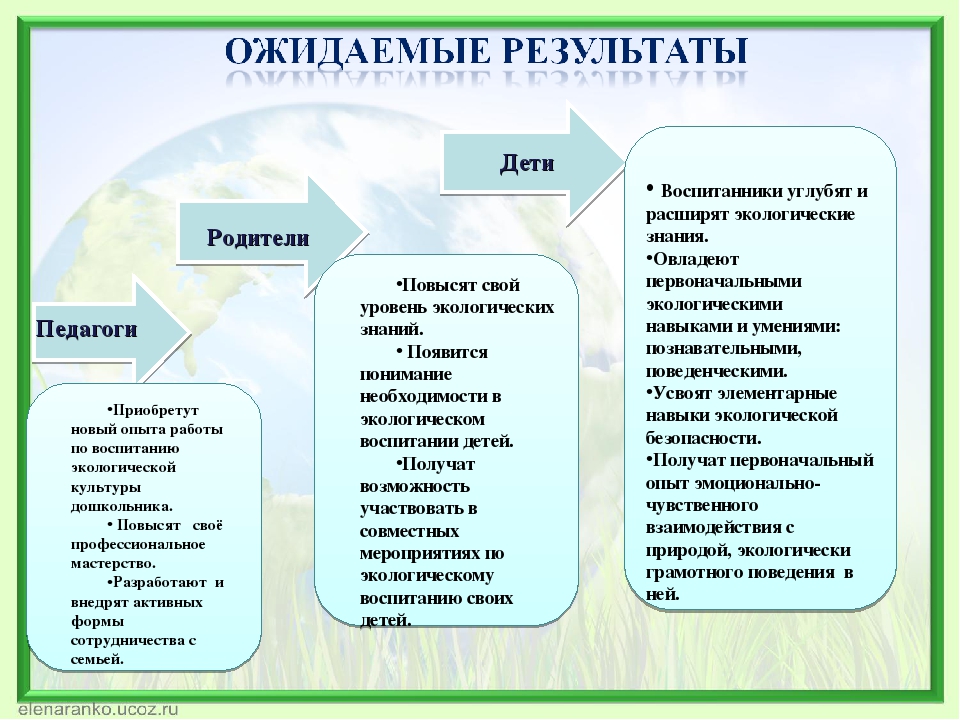 Формирование экологической культуры дошкольников через активное исследование и игровые формы
