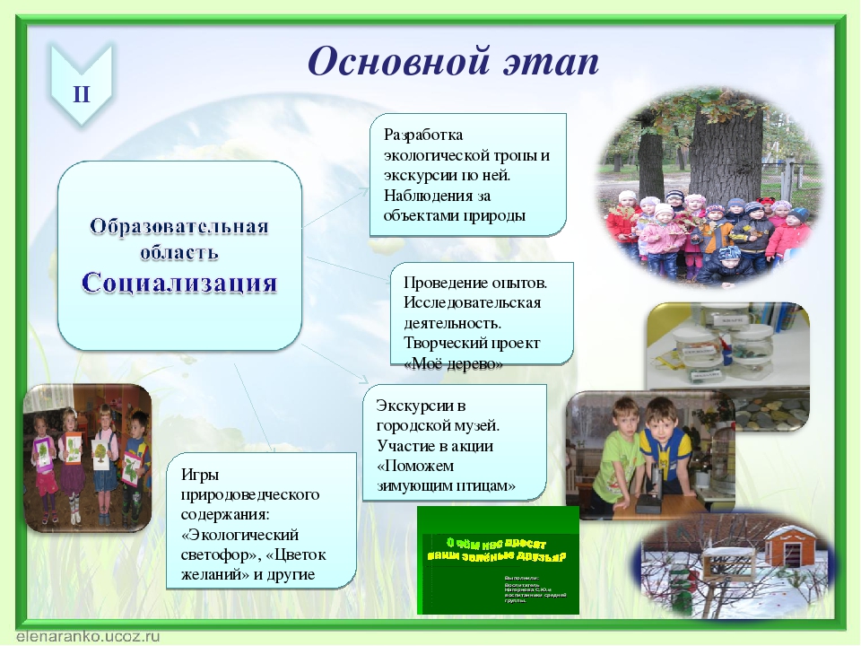 Формирование экологической культуры дошкольников через активное исследование и игровые формы
