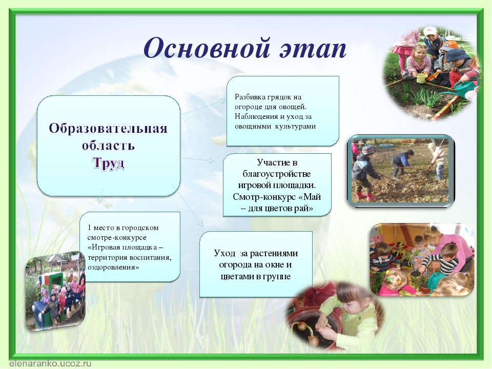 Формирование экологической культуры дошкольников через активное исследование и игровые формы