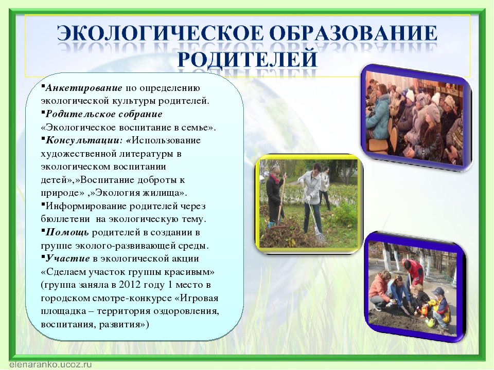 Формирование экологической культуры дошкольников через активное исследование и игровые формы