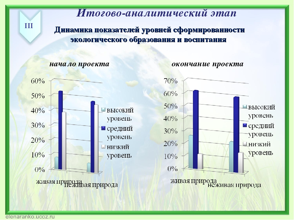 Формирование экологической культуры дошкольников через активное исследование и игровые формы
