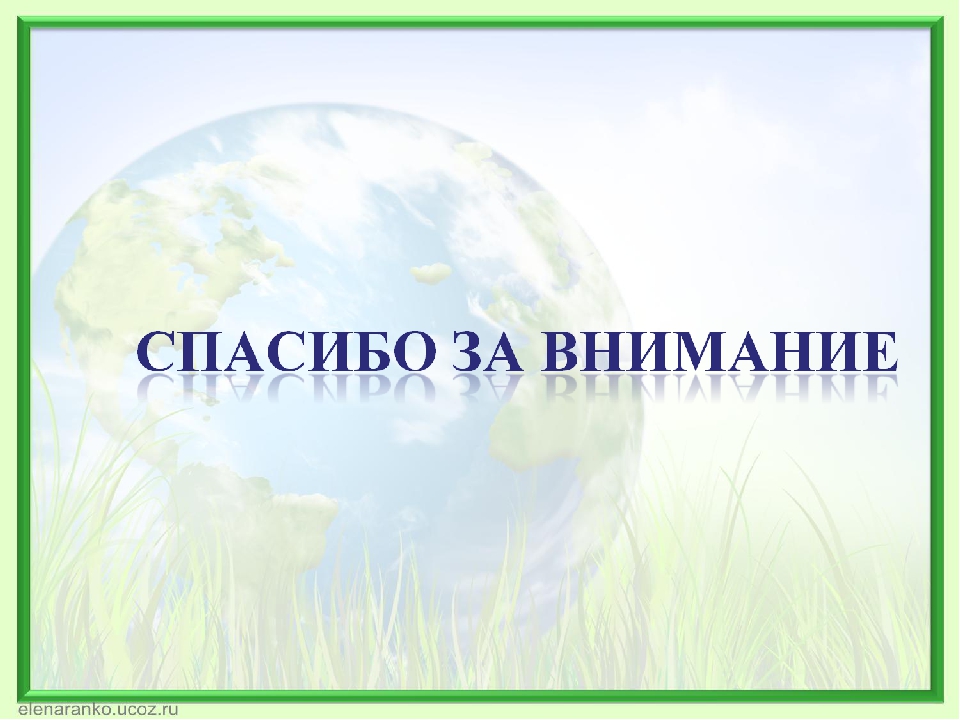 Формирование экологической культуры дошкольников через активное исследование и игровые формы