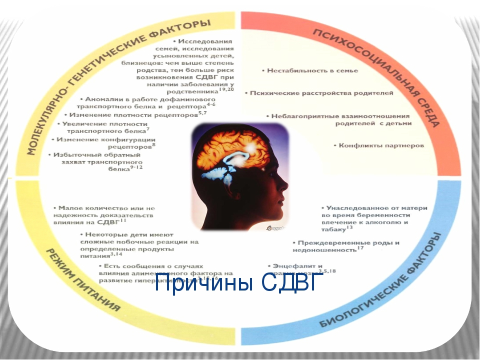 Презентация "Дети с ОВЗ в рамках инклюзивного образования" . Рекомендации для воспитателей.
