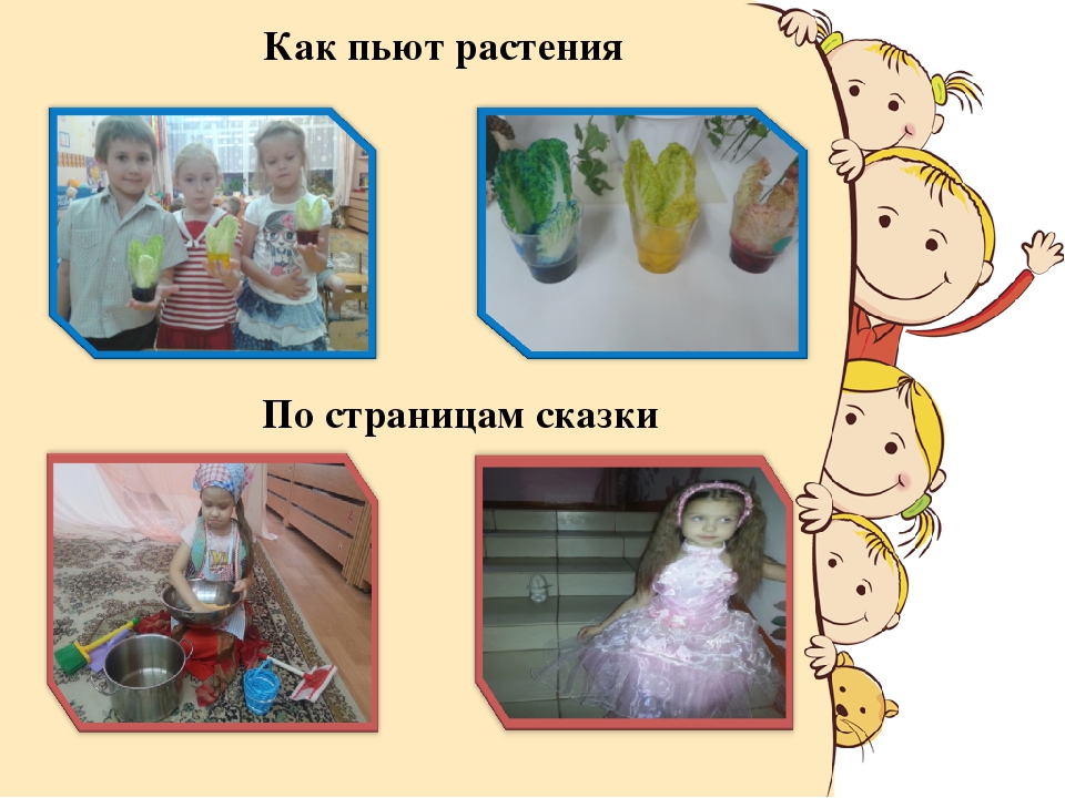 Презентация "Проектный метод как форма работы с родителями"
