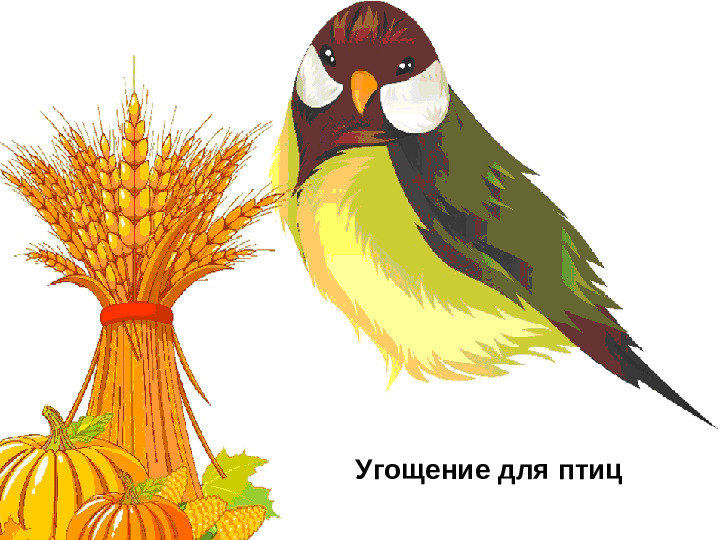 Угощение для птиц. Презентация для детей