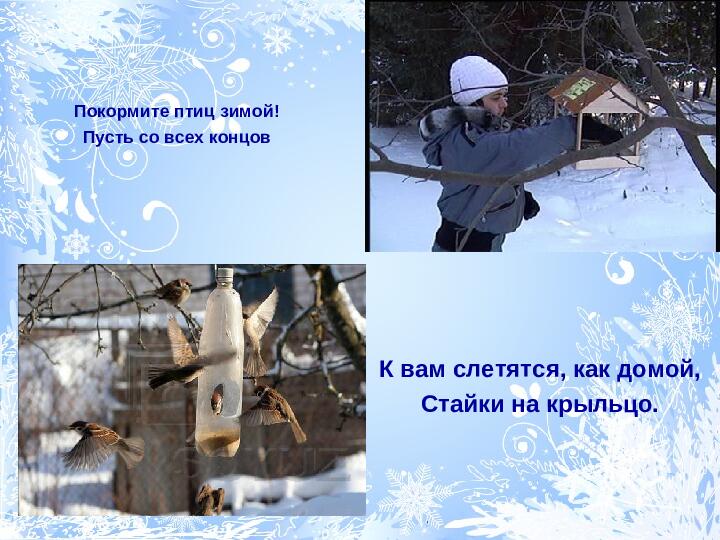 Угощение для птиц. Презентация для детей