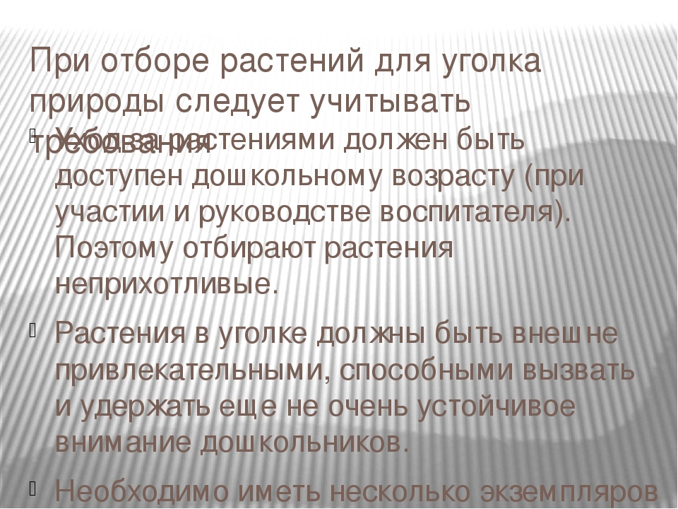 Комнатные растения в уголке природы в детском саду