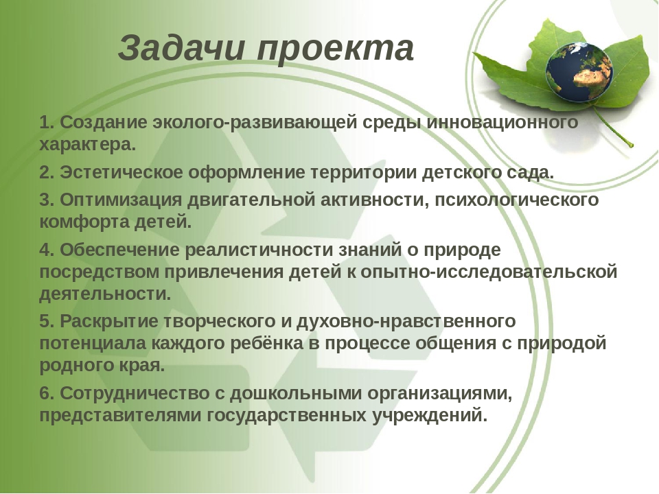 Презентация по экологии "Зеленый оазис среди каменных джунглей"