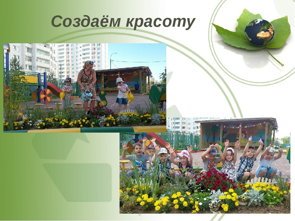 Презентация по экологии "Зеленый оазис среди каменных джунглей"
