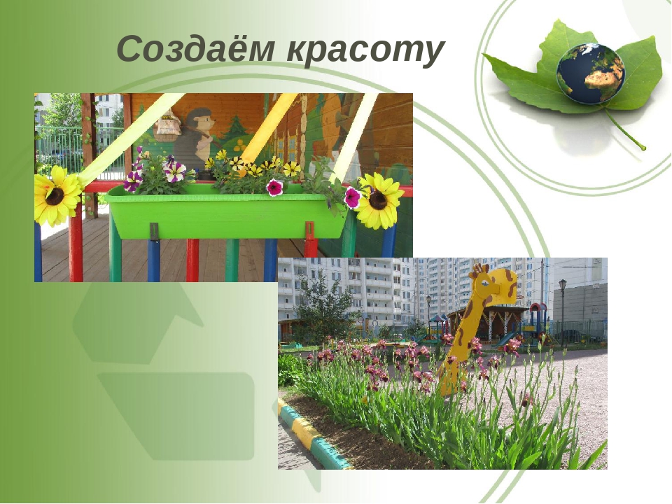 Презентация по экологии "Зеленый оазис среди каменных джунглей"