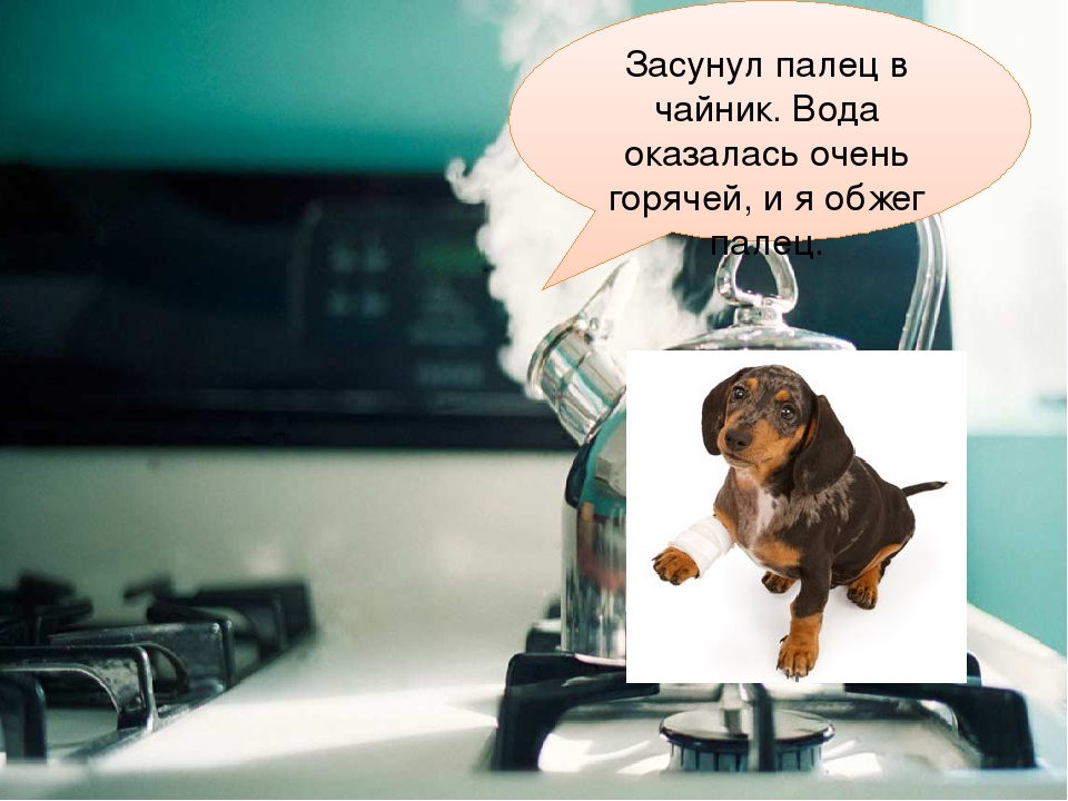 Презентация "Щенок Тяпа в гостях у ребят" знакомство с бытовыми приборами