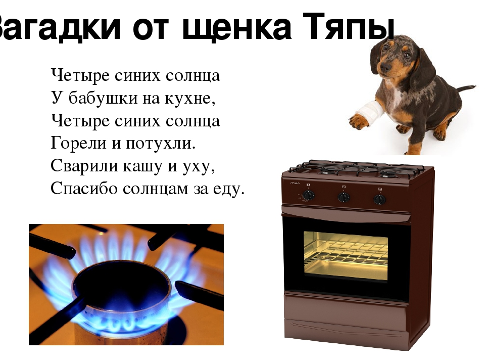 Презентация "Щенок Тяпа в гостях у ребят" знакомство с бытовыми приборами