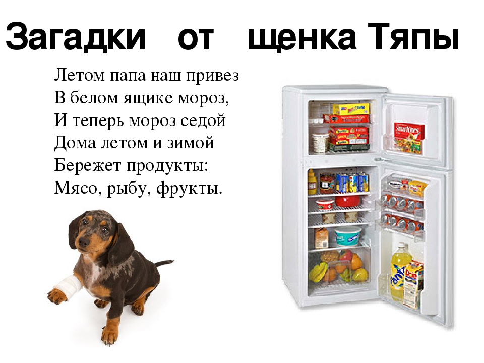 Презентация "Щенок Тяпа в гостях у ребят" знакомство с бытовыми приборами