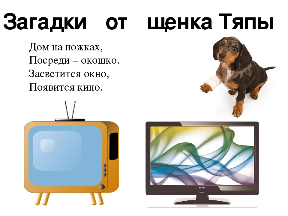 Презентация "Щенок Тяпа в гостях у ребят" знакомство с бытовыми приборами